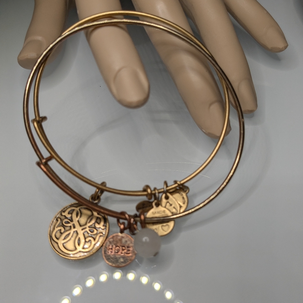 Twofer Alex And Ani Bracelet